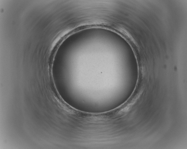 X0000075920781200610062206