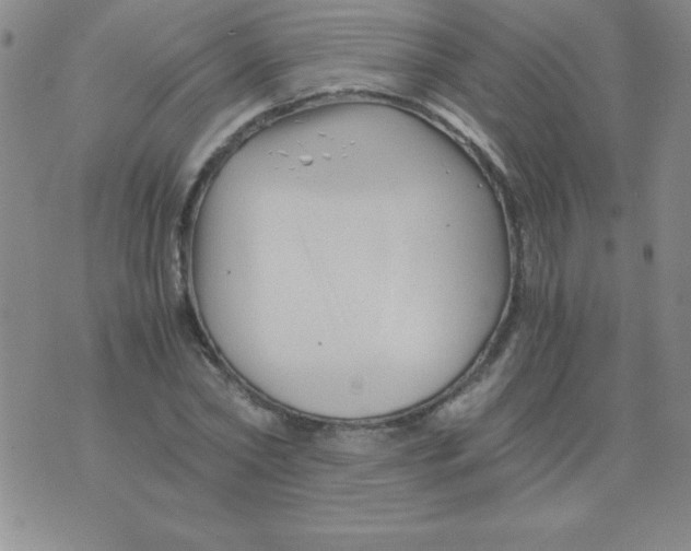 X0000075920782200610062206