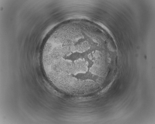 X0000075920783200610062206