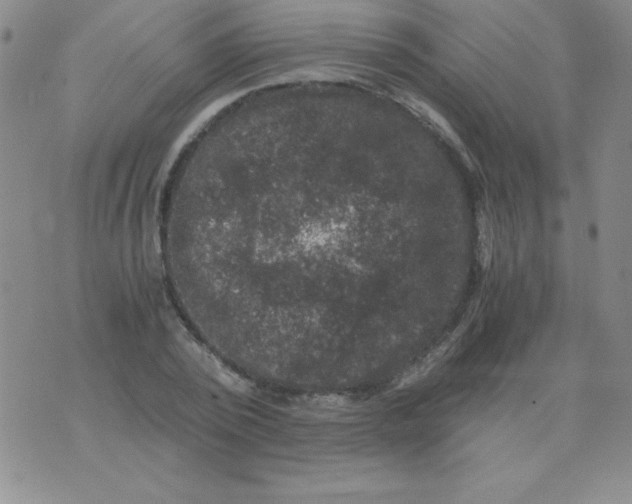 X0000075920784200610062206