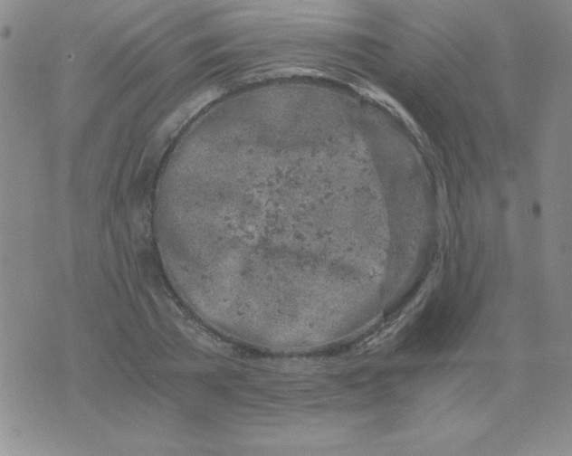 X0000075920785200610062206