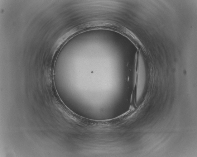 X0000075920786200610062206