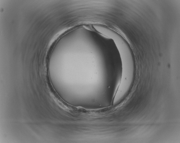 X0000075920787200610062206