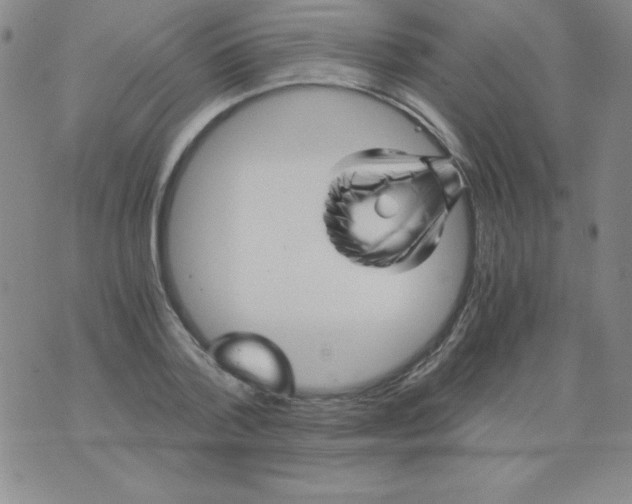 X0000075920788200610062206