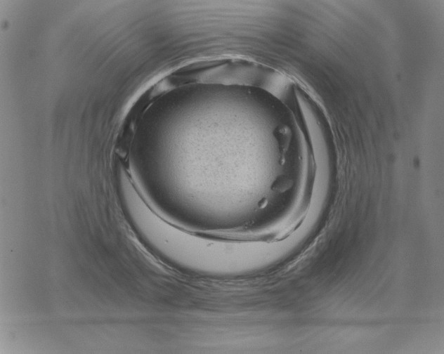 X0000075920789200610062206