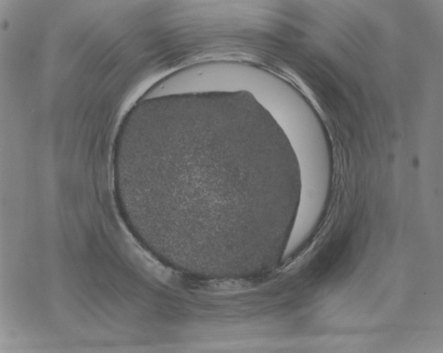 X0000075920795200610062206