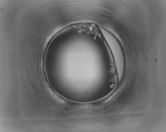 X0000075920797200610062206