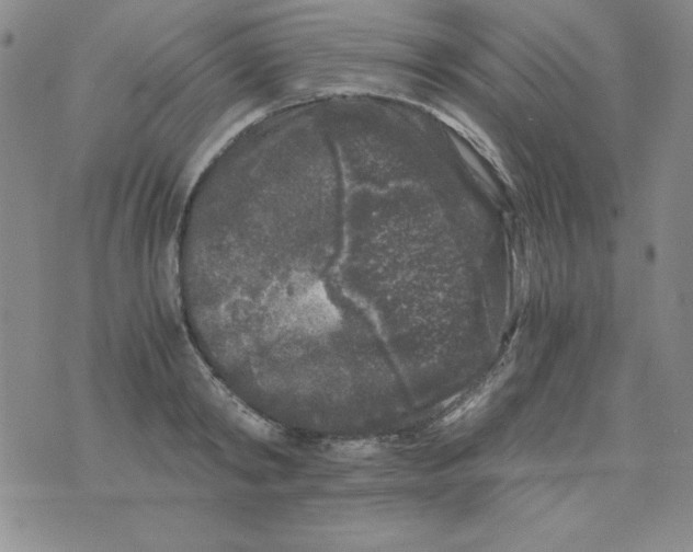 X0000075920798200610062206