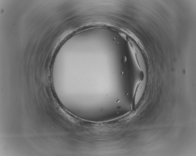 X0000075920799200610062206