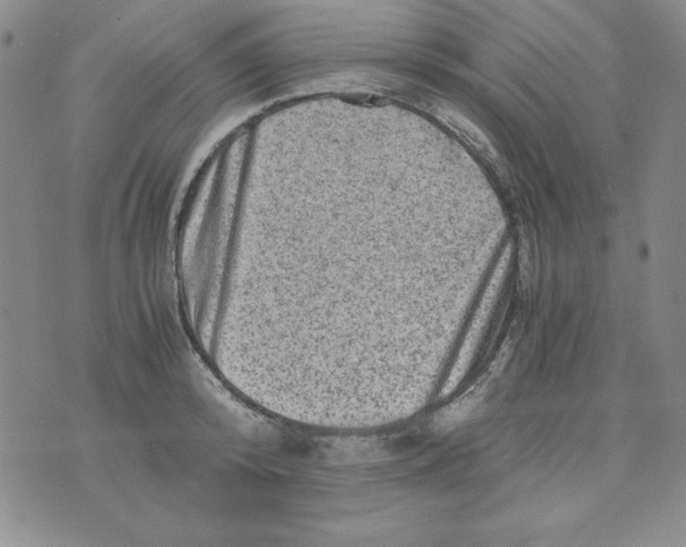 X0000075920800200610062206