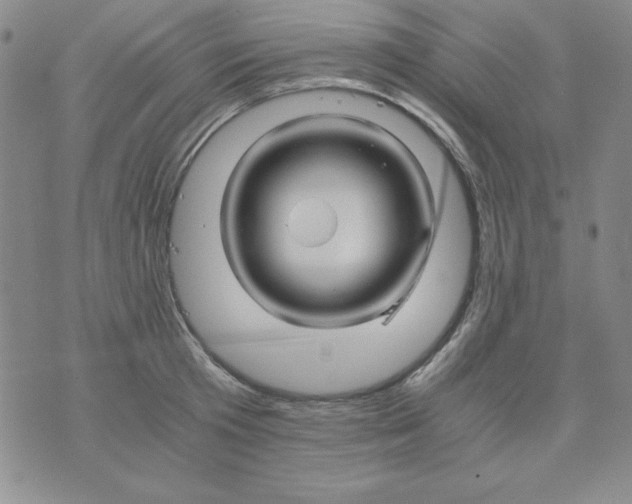 X0000075920801200610062206