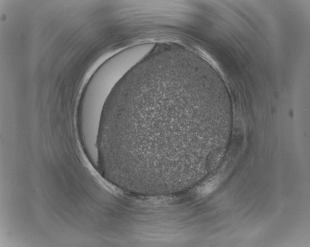 X0000075920803200610062206