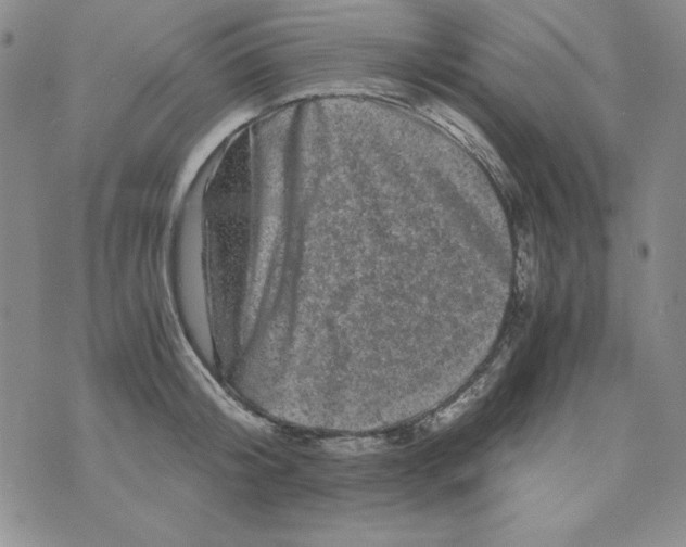 X0000075920804200610062206