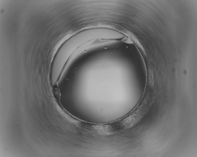 X0000075920805200610062206