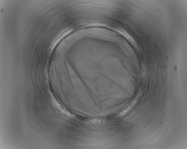 X0000075920806200610062206