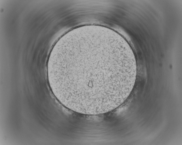 X0000075920807200610062206