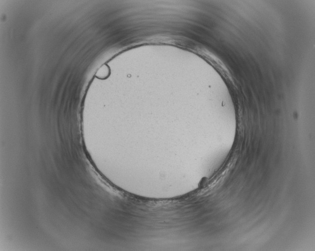 X0000075920808200610062206