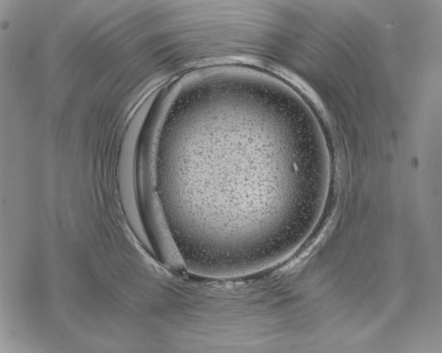 X0000075920809200610062206