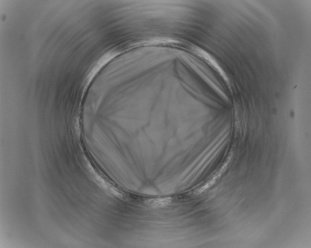 X0000075920810200610062206