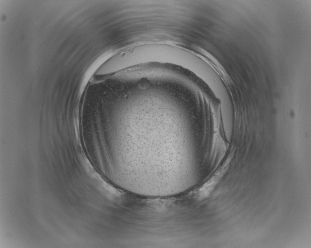 X0000075920812200610062206