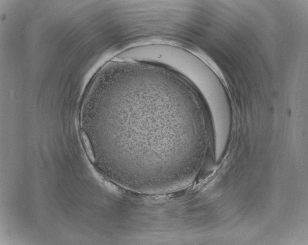 X0000075920813200610062206