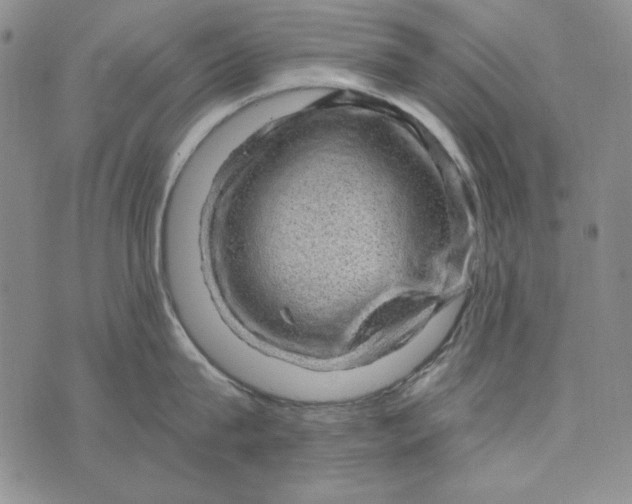 X0000075920815200610062206