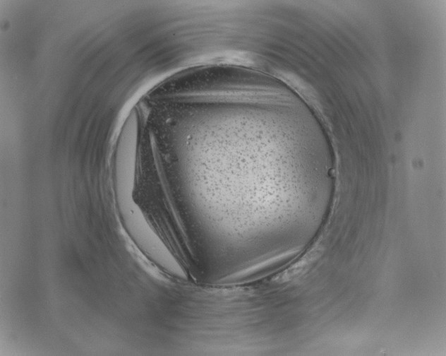 X0000075920816200610062206