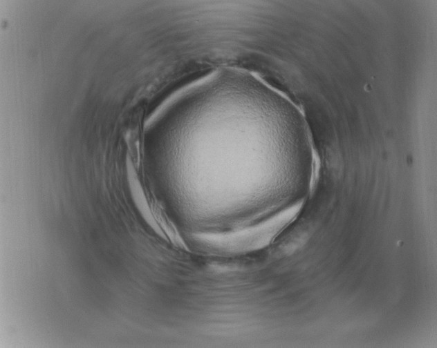 X0000075920818200610062205