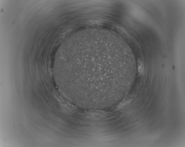 X0000075920819200610062205