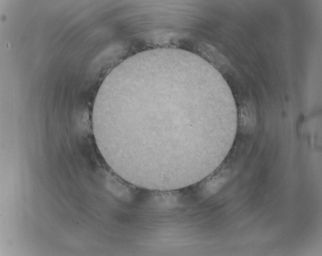 X0000075920820200610062205