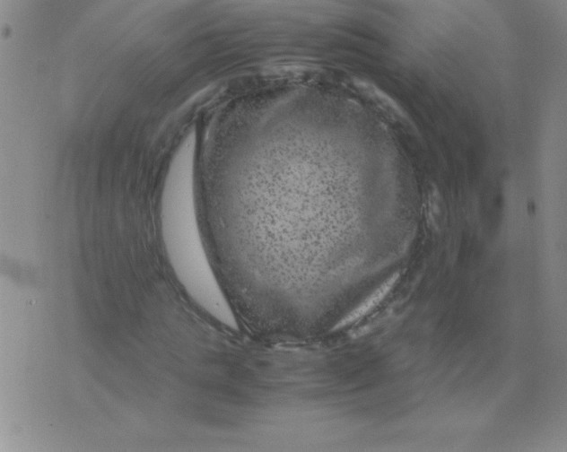 X0000075920821200610062205