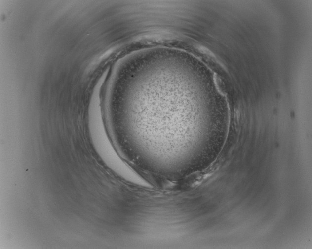 X0000075920822200610062205