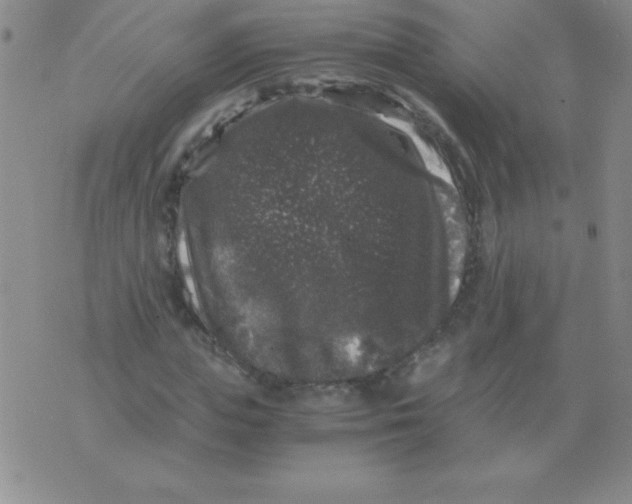 X0000075920823200610062205