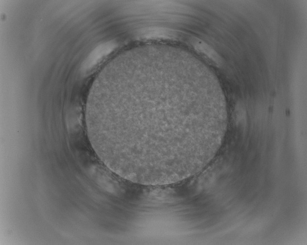 X0000075920824200610062205