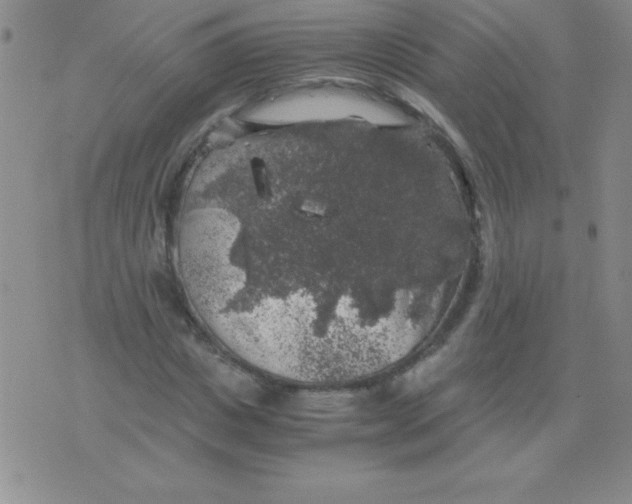 X0000075920825200610062205