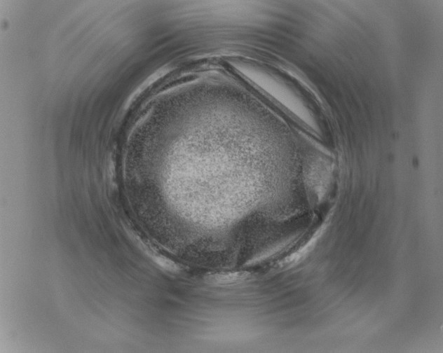 X0000075920826200610062205