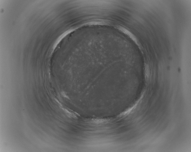 X0000075920829200610062205