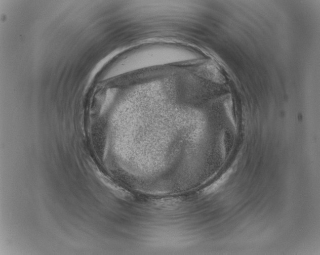 X0000075920830200610062205