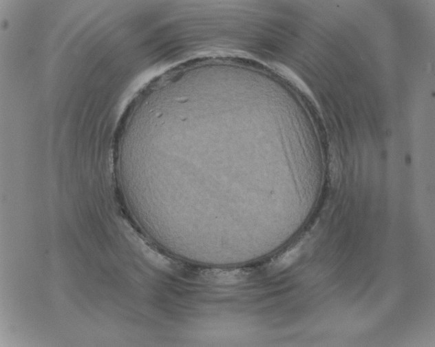 X0000075920831200610062205