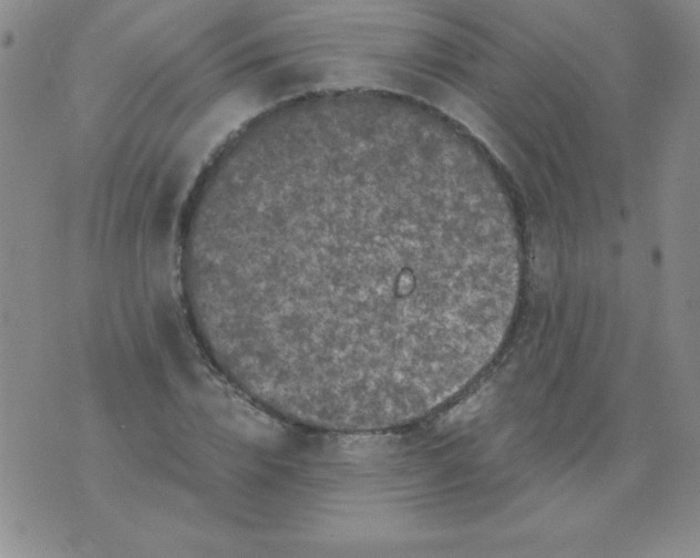 X0000075920832200610062205