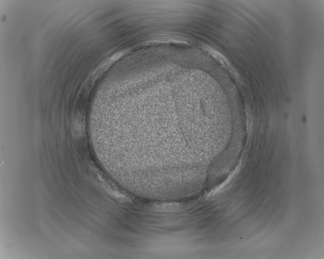 X0000075920833200610062205