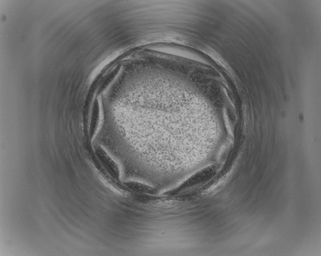 X0000075920834200610062205