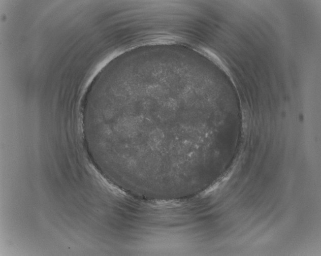 X0000075920835200610062205