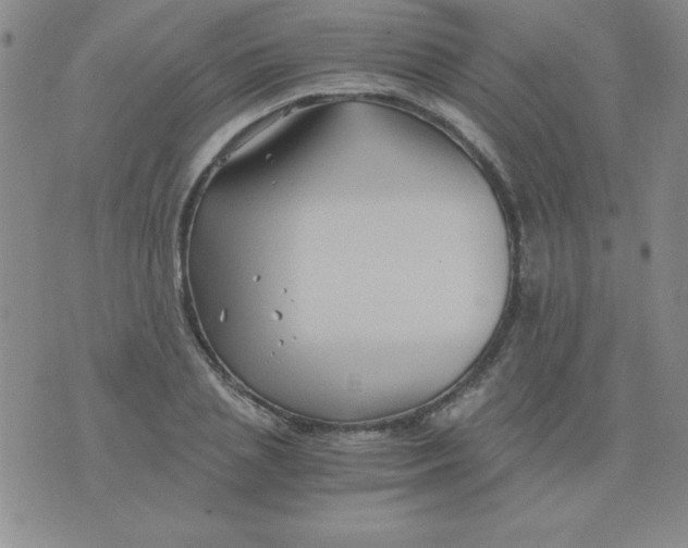 X0000075920837200610062205