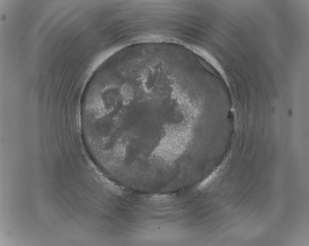 X0000075920839200610062205