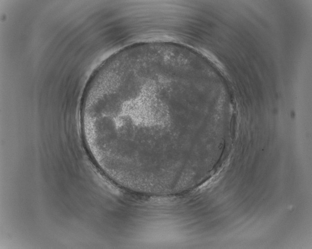 X0000075920840200610062205