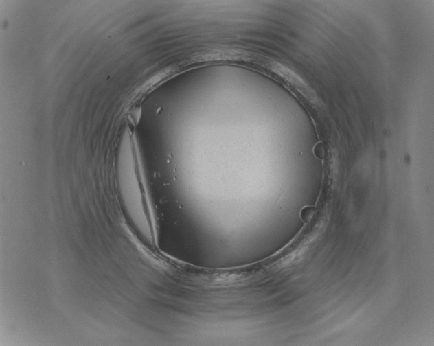 X0000075920841200610062206