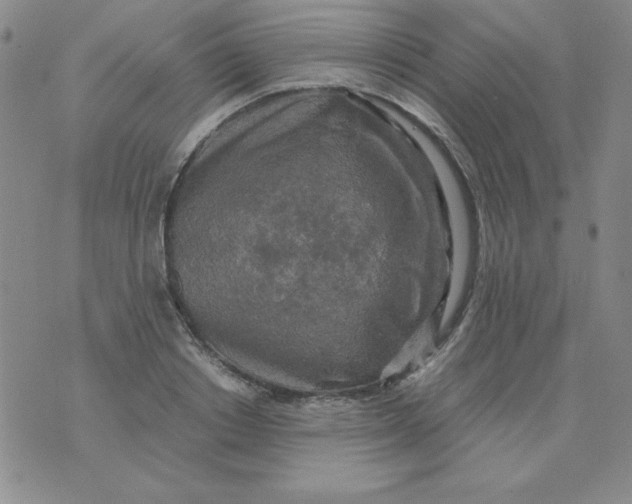 X0000075920842200610062206