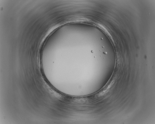 X0000075920843200610062206