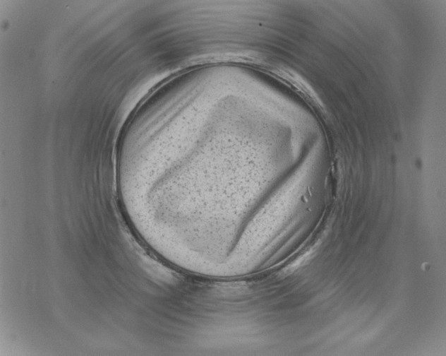 X0000075920844200610062206